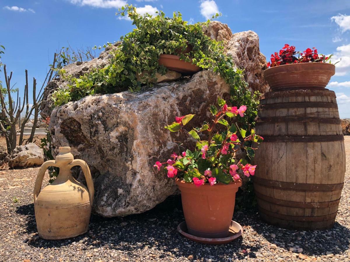 Masseria Paglieroni Martina Franca Exteriör bild